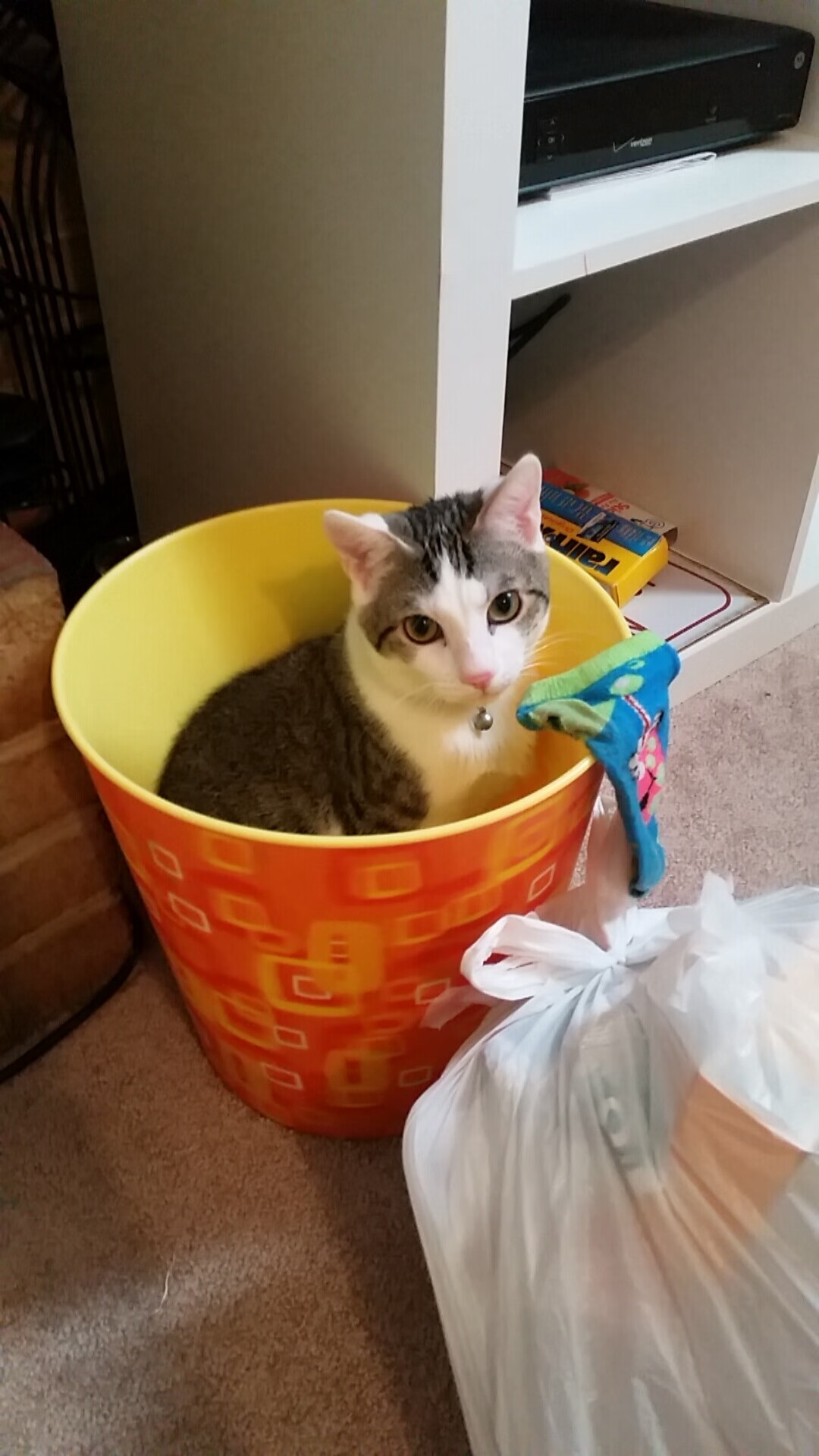 巨人的沉默，当坎特用14分钟让奥运悬念提前终结