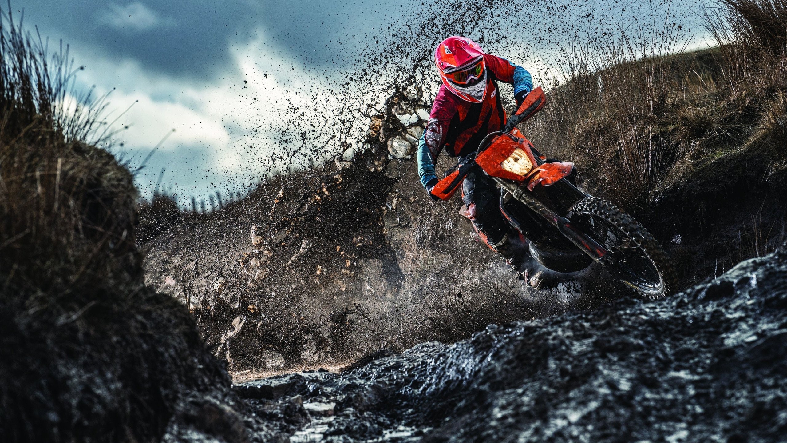 巴黎之眼，坎特无声的守望